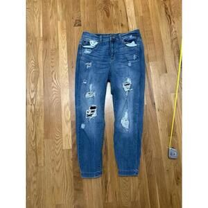 Judy Blue Skinny Fit Jeans Size 14 W